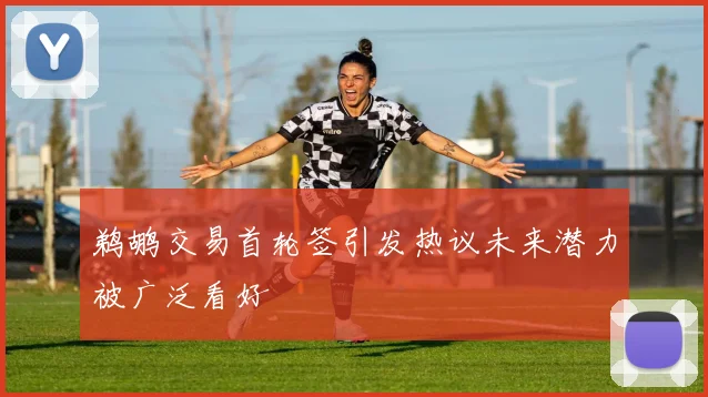 鹈鹕交易首轮签引发热议未来潜力被广泛看好