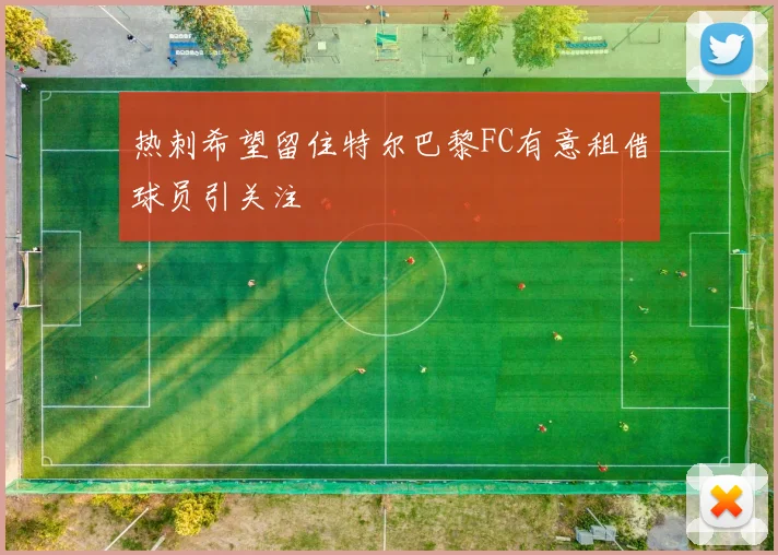 热刺希望留住特尔巴黎FC有意租借球员引关注